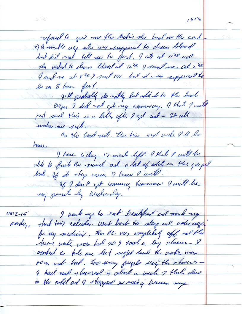 Dr John WorldPeace 2008 Prison Journal